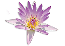 凯发k8天生赢家一触即发官网